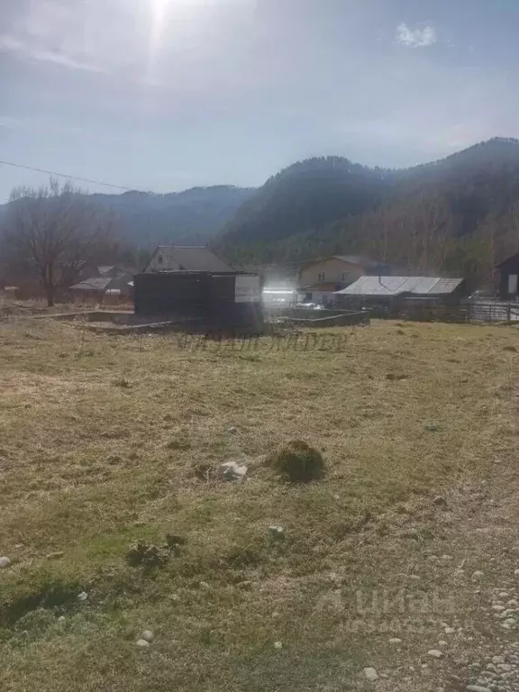 Участок в Алтай, Майминский район, Усть-Мунинское с/пос, пос. Барангол ... - Фото 2