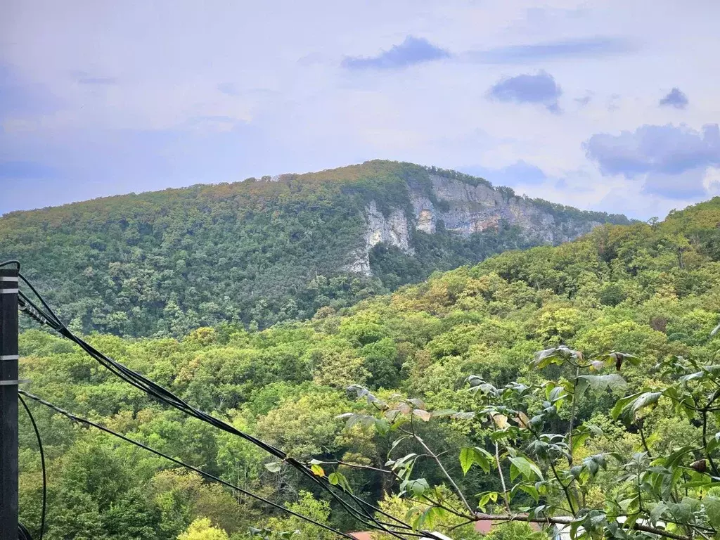 Дом в Краснодарский край, Сочи Труд СТ, 79 (190 м) - Фото 2