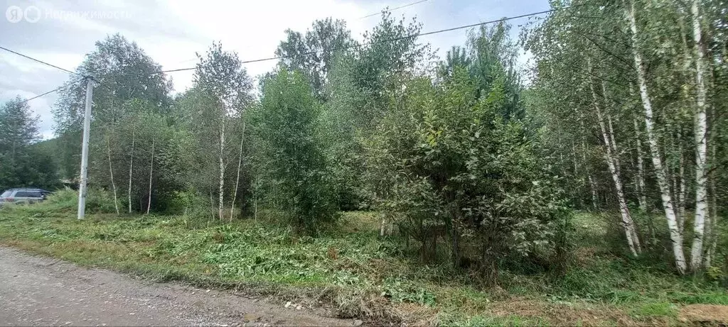 Участок в Майминский район, Соузгинское сельское поселение, посёлок ... - Фото 1