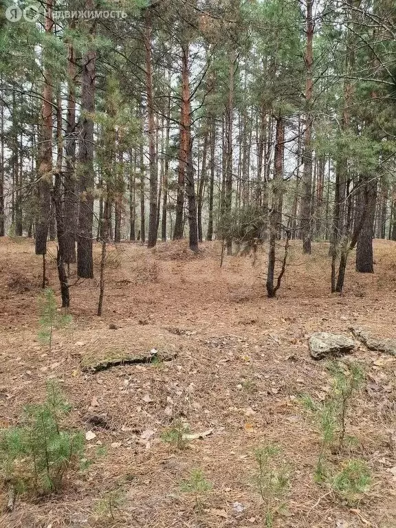 Участок в Воронеж, микрорайон Малышево (800 м) - Фото 1
