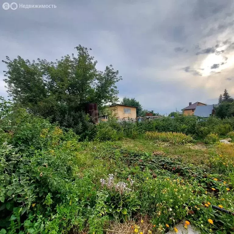 Участок в Новый Краснояр, Лесная улица (7.68 м) - Фото 1