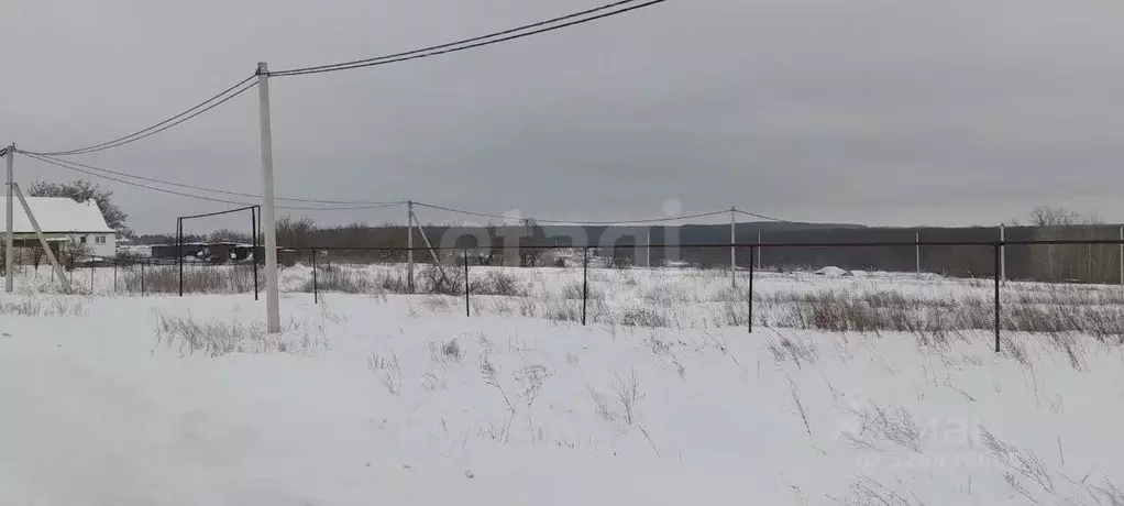 Участок в Саратовская область, Балашовский район, с. Репное Пионерская ... - Фото 1