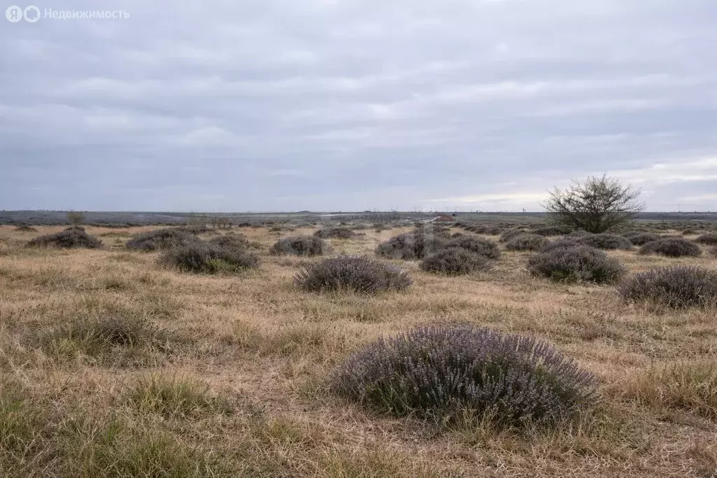 Участок в Чистенское сельское поселение, территория Новозбурьевка 1 ... - Фото 1