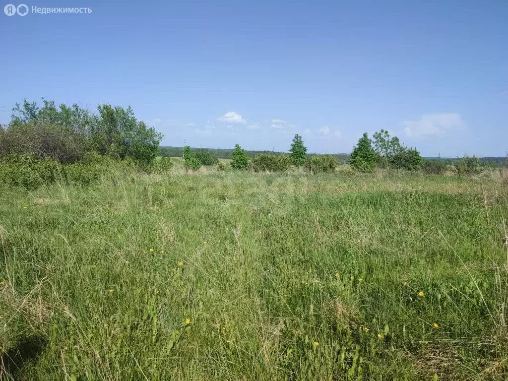 Участок в муниципальное образование Мяксинское, деревня Большая ... - Фото 1