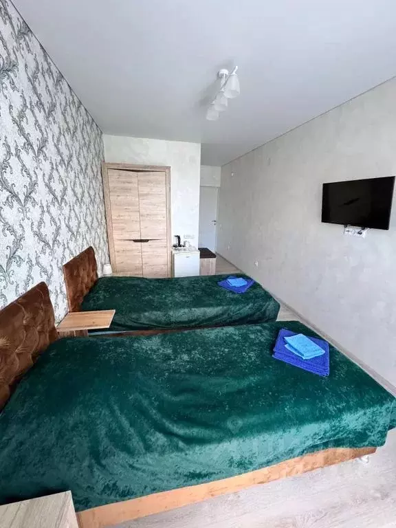 Комната Краснодарский край, Сочи ул. Шишкина, 2 - Фото 0