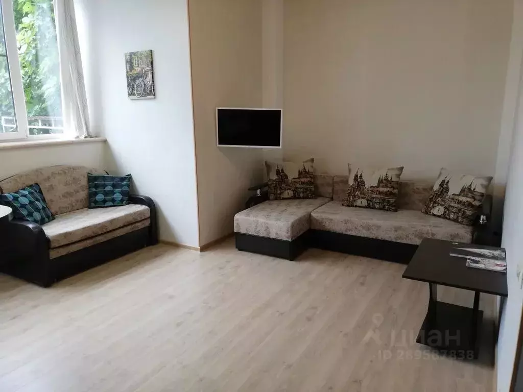 1-к кв. Краснодарский край, Сочи ул. Демократическая, 34/1 (38.0 м) - Фото 1