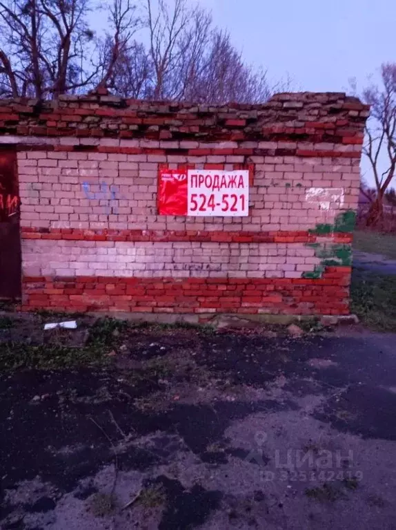 Участок в Калининградская область, Багратионовский муниципальный ... - Фото 2