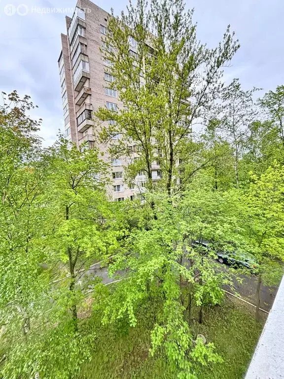 2-комнатная квартира: Санкт-Петербург, Пражская улица, 29 (53.3 м) - Фото 2