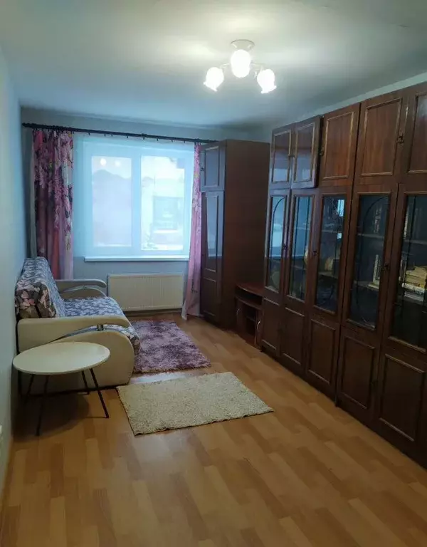 2-к кв. Ленинградская область, Лужский район, Толмачево городской ... - Фото 1