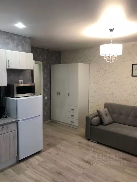 Студия Санкт-Петербург пос. Парголово, ул. Николая Рубцова, 3 (27.3 м) - Фото 2