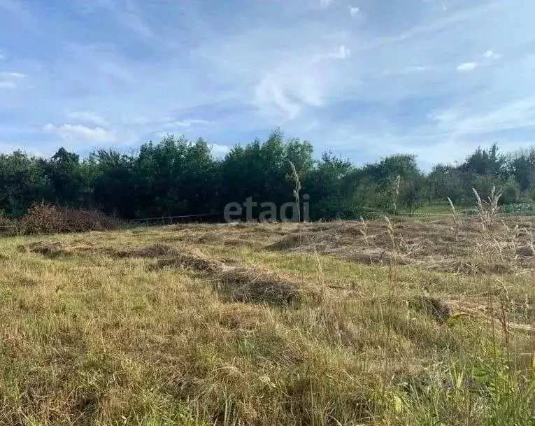 Участок в Калужская область, Мосальский муниципальный округ, д. ... - Фото 1