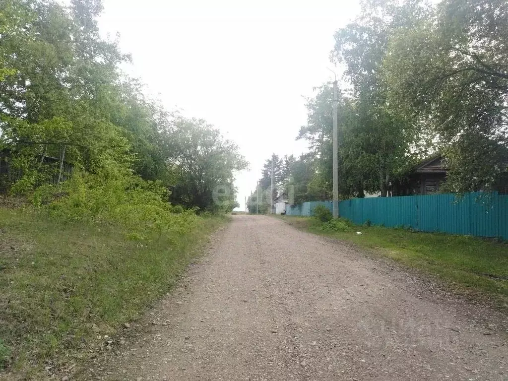 Дом в Амурская область, Свободненский район, с. Желтоярово Призейская ... - Фото 2