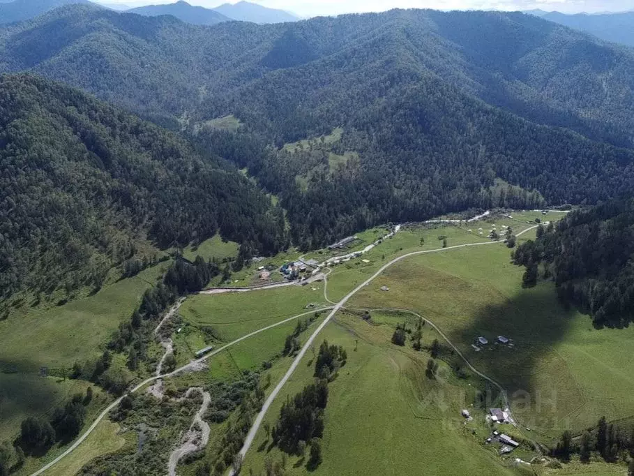 Участок в Алтай, Чемальский район, Узнезинское с/пос, с. Узнезя  ... - Фото 1