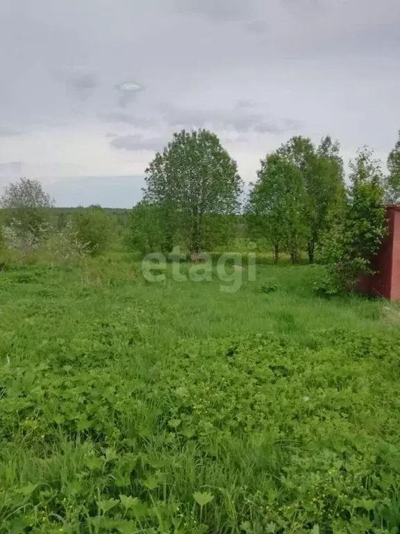 Участок в Пермский край, Березники муниципальное образование, д. ... - Фото 0