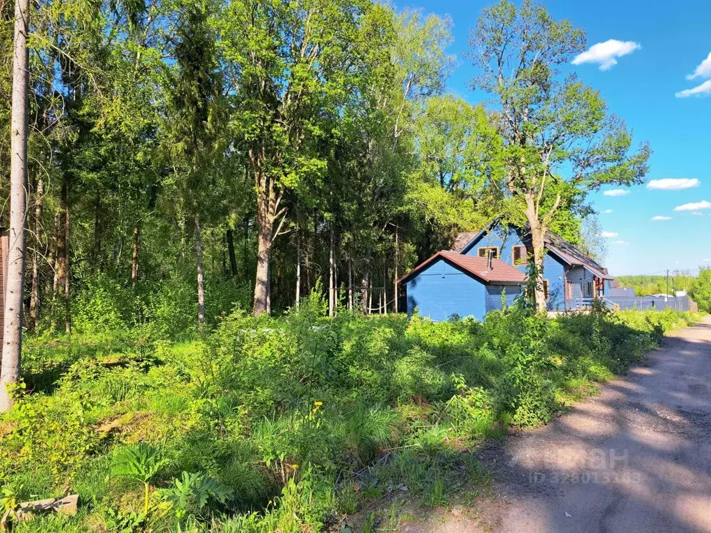 Участок в Московская область, Дмитровский муниципальный округ, ... - Фото 2