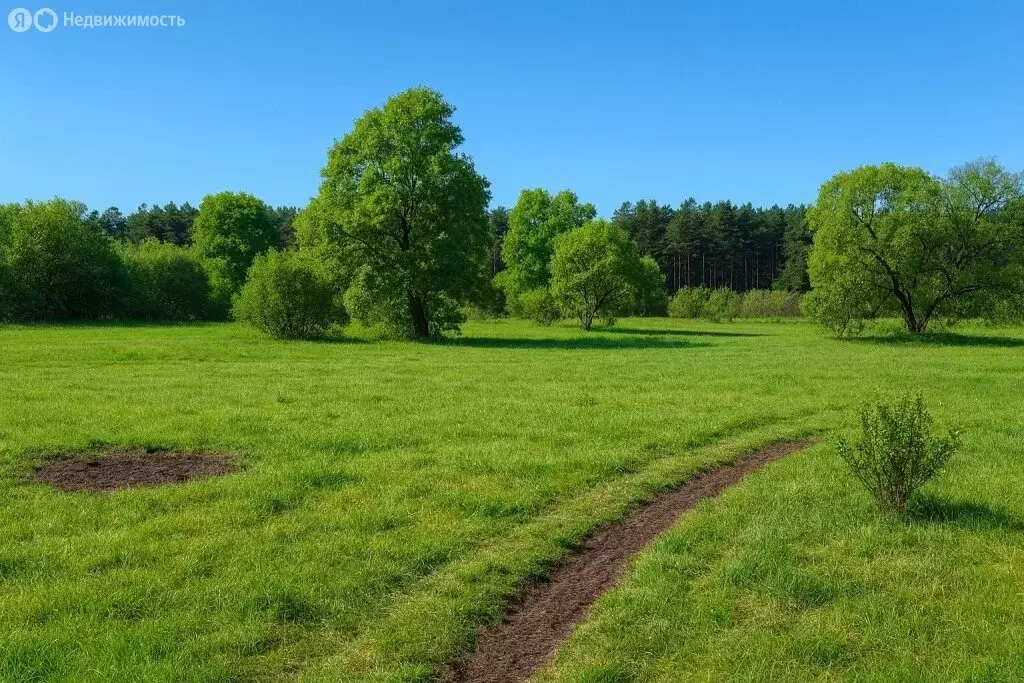 Участок в Ступино, Туманная улица (10 м) - Фото 2
