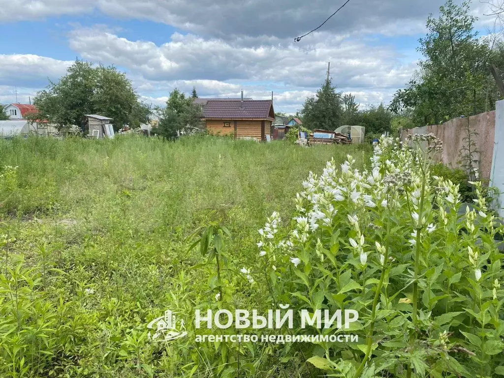 Участок 5,4 сот. (ИЖС) - Фото 1
