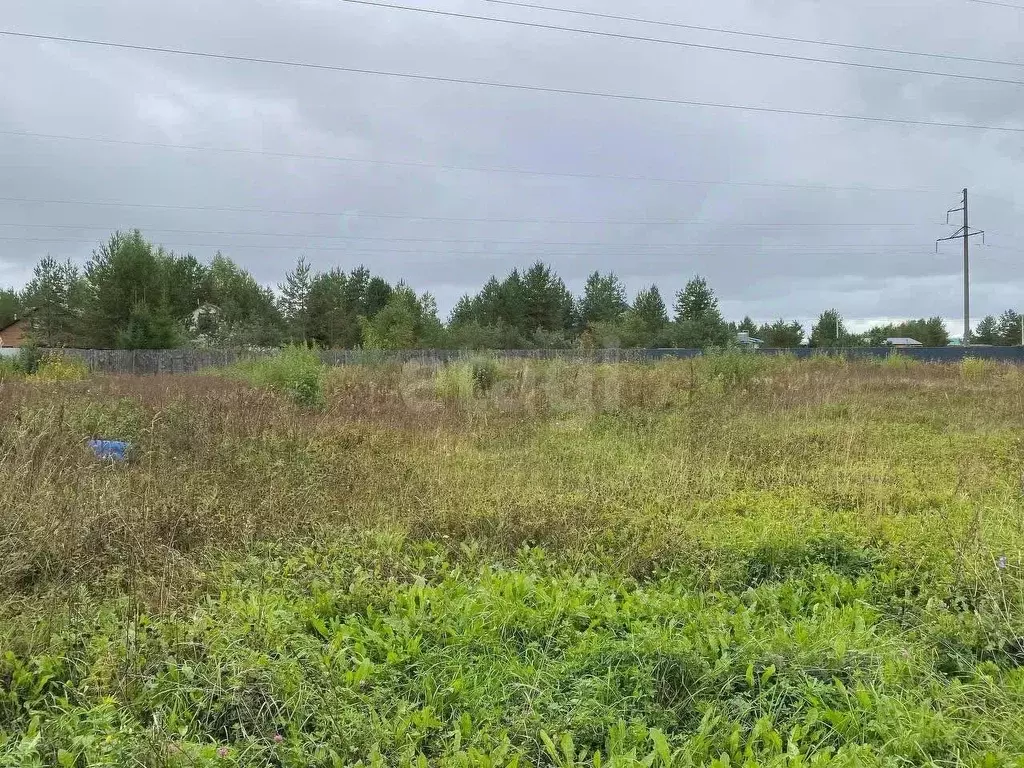 Участок в Кировская область, Кирово-Чепецкий район, Пасеговское с/пос, ... - Фото 1
