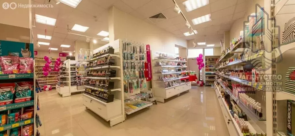 Помещение свободного назначения (276 м) - Фото 2