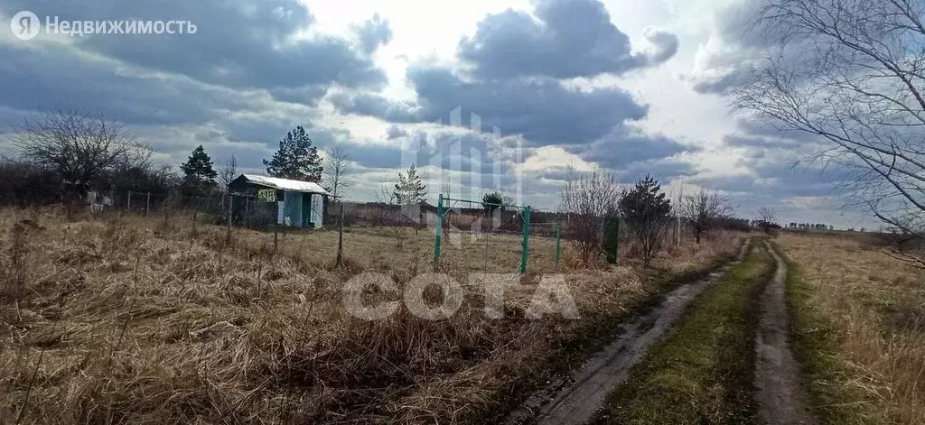 Купить Дом В Селе Ломово Рамонского Района