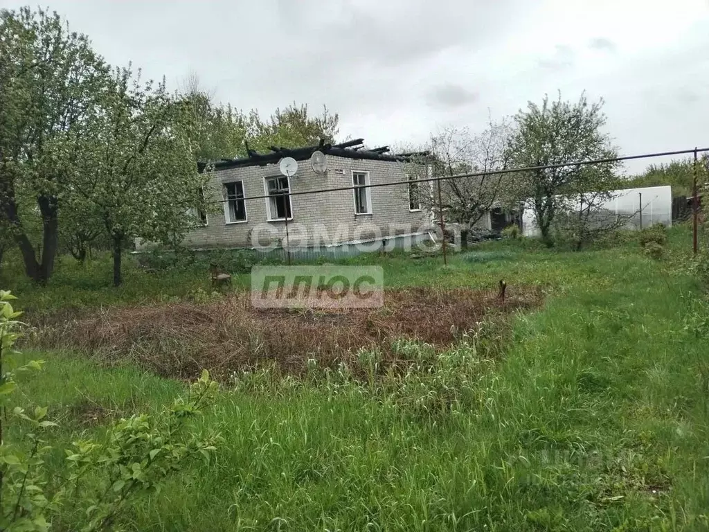 Участок в Пензенская область, Бессоновский район, с. Грабово ... - Фото 0