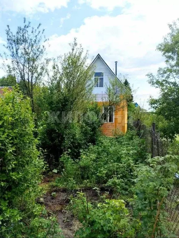 Участок в Новосибирская область, Новосибирский район, Краснообск ... - Фото 0