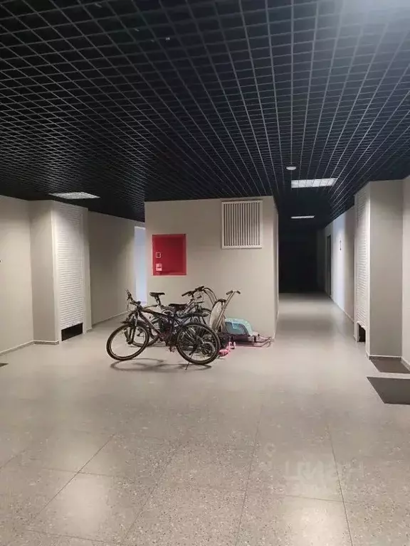 Студия Хакасия, Абакан ул. Кирова, 212А (29.0 м) - Фото 2