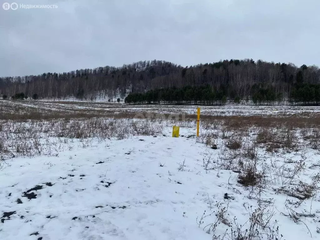 Участок в Горно-Алтайск, Светлая улица (13.4 м) - Фото 0