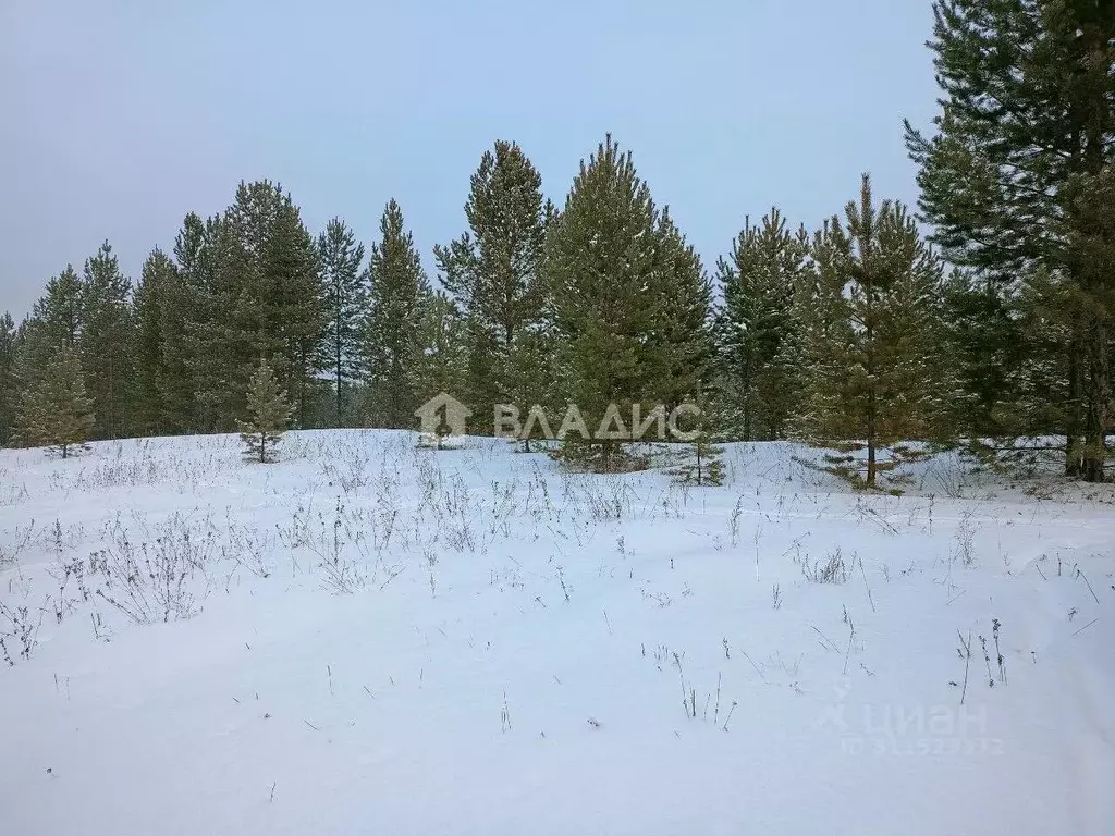 Участок в Бурятия, Тарбагатайский район, Заводское муниципальное ... - Фото 0