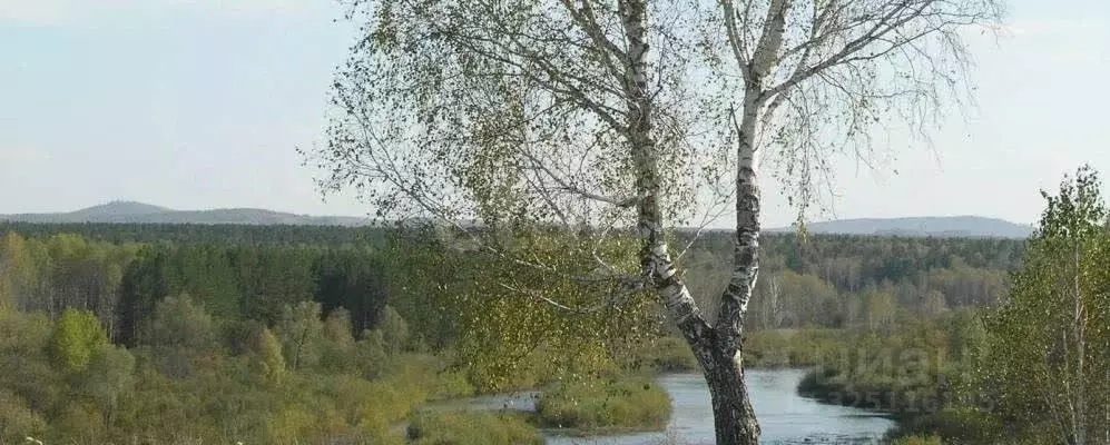 Участок в Новосибирская область, Мошковский район, с. Томилово  (400.0 ... - Фото 1