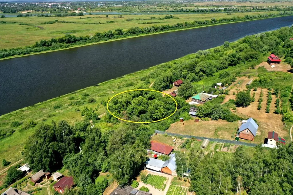 Участок в Рязанская область, Спасский муниципальный округ, с. Шатрище  ... - Фото 1