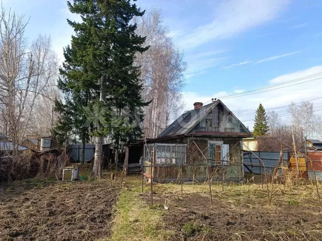 Дом в Новосибирская область, Новосибирск Березовая Роща СТ,  (38 м) - Фото 2