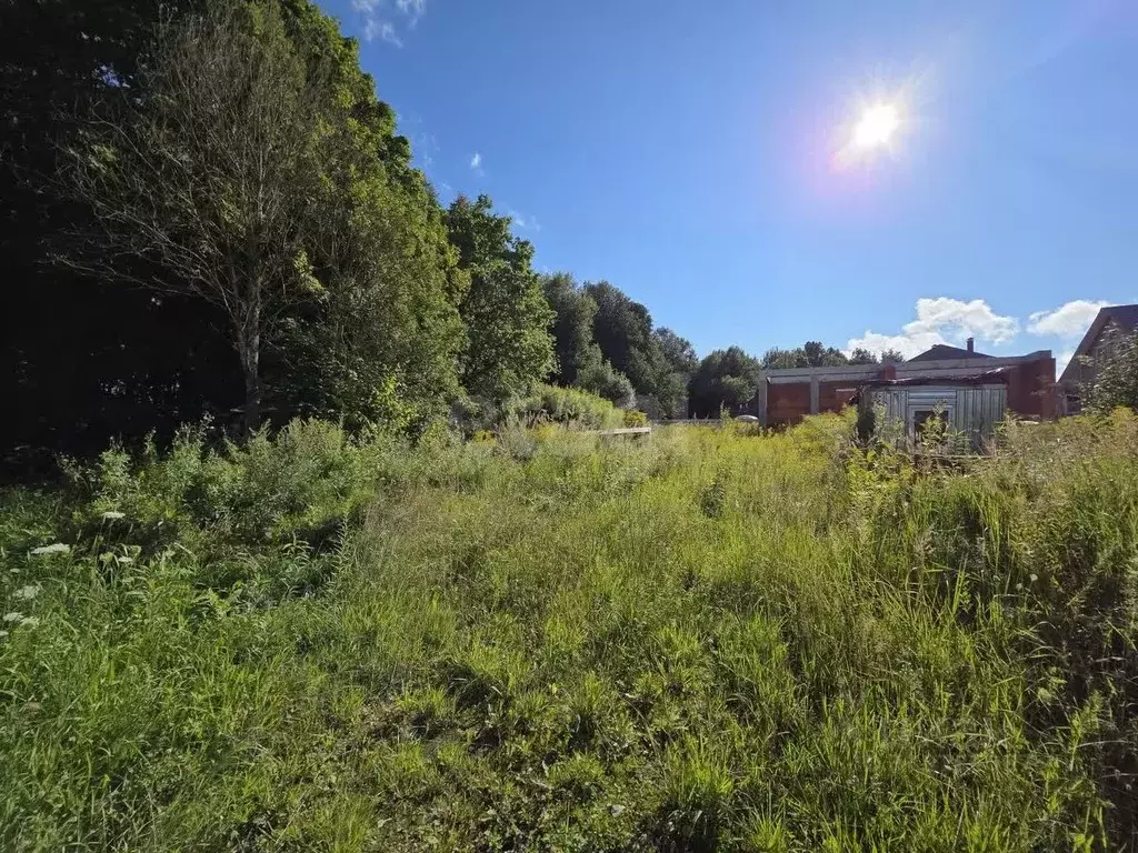 Участок в Калужская область, Боровский муниципальный округ, Совьяки ... - Фото 2