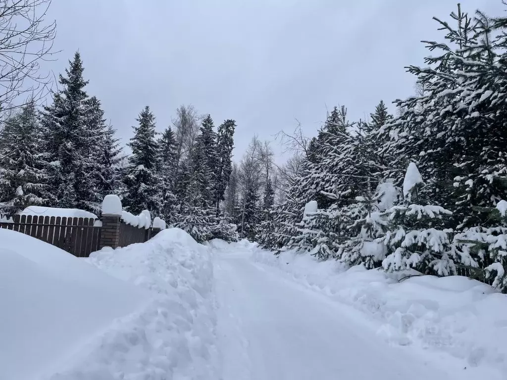 Участок в Московская область, Дмитровский муниципальный округ, Домик в ... - Фото 2