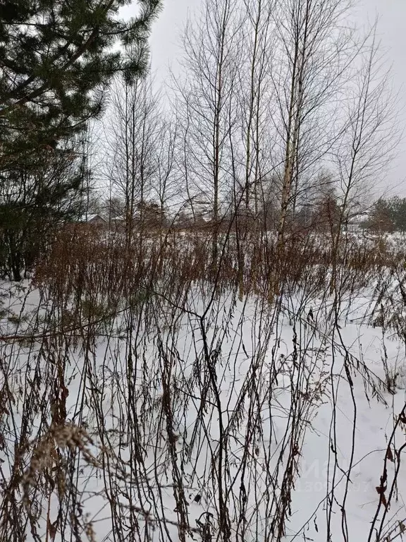 Участок в Московская область, Павлово-Посадский городской округ, д. ... - Фото 0