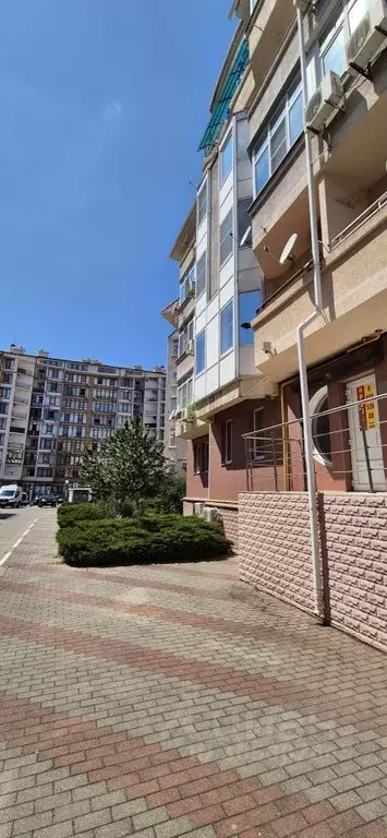 Офис в Краснодарский край, Геленджик Туристическая ул., 6к1 (130 м) - Фото 1