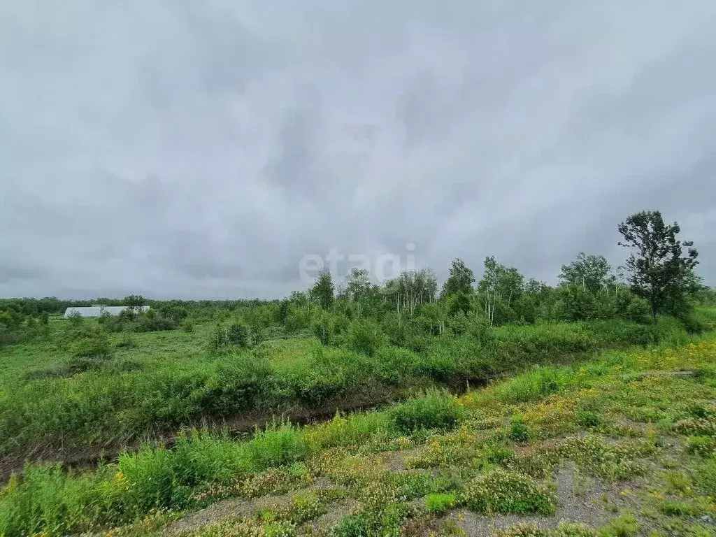 Участок в Камчатский край, Елизово Дубрава-1 ПААТО Камчатстроя СНТ,  ... - Фото 0