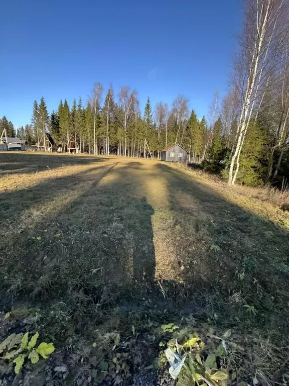 Участок в Московская область, Раменский городской округ, с. Зеленая ... - Фото 0