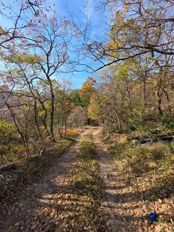 Участок в Крым, Ялта ул. Большевистская, 12 (30.0 сот.) - Фото 1