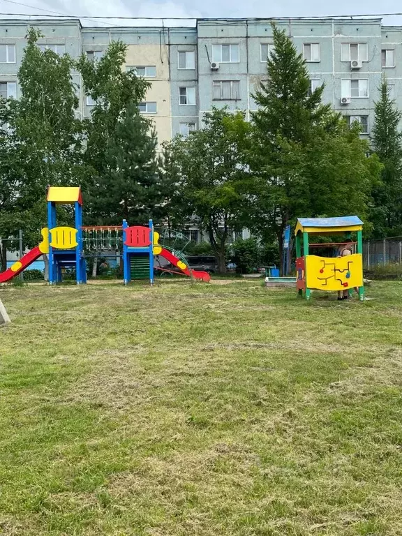 2-к кв. Хабаровский край, Хабаровский район, с. Некрасовка Солнечная ... - Фото 0