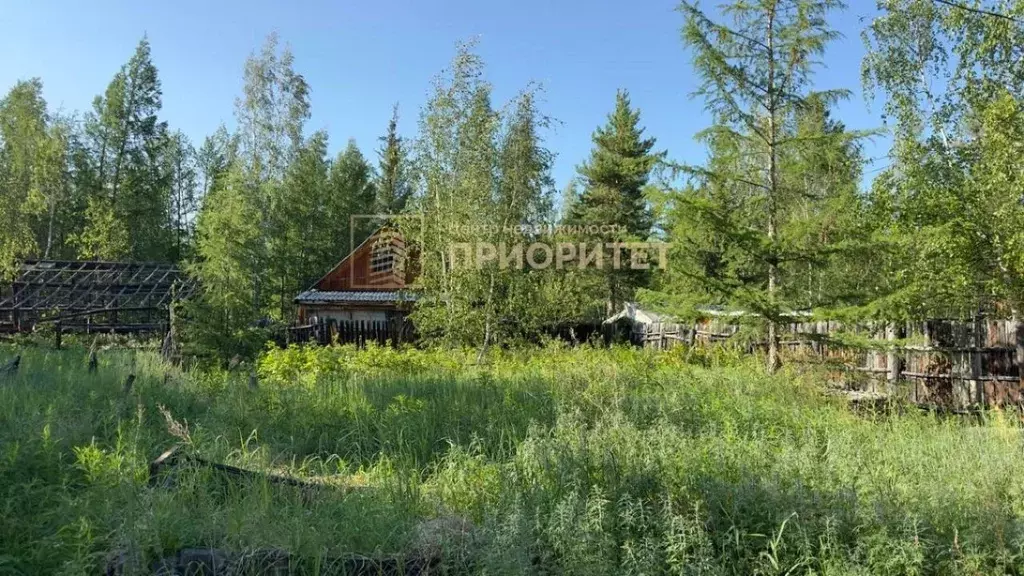 Участок в Саха (Якутия), Якутск Вилюйский тракт (10.0 сот.) - Фото 2