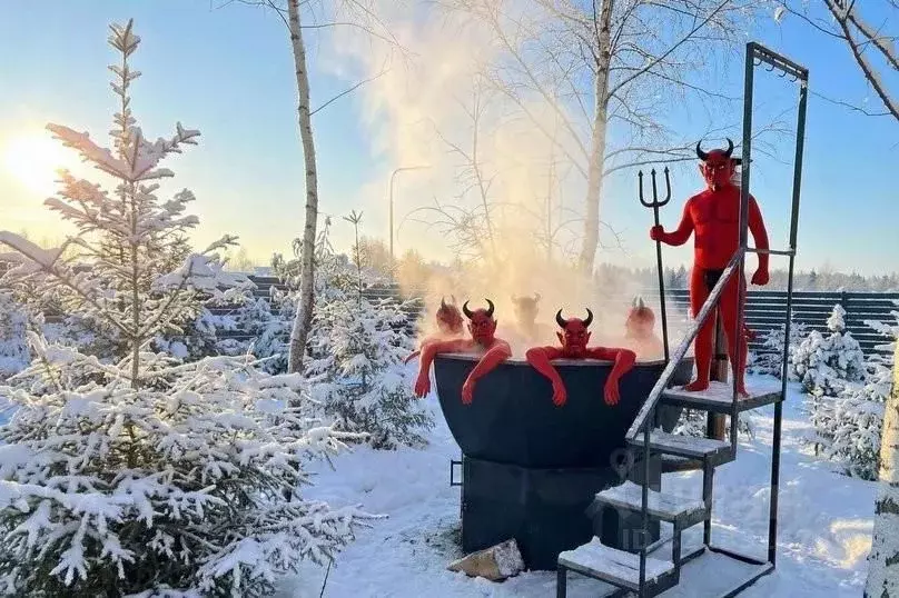 Дом в Московская область, Клин городской округ, Вельга Парк кп ул. ... - Фото 2