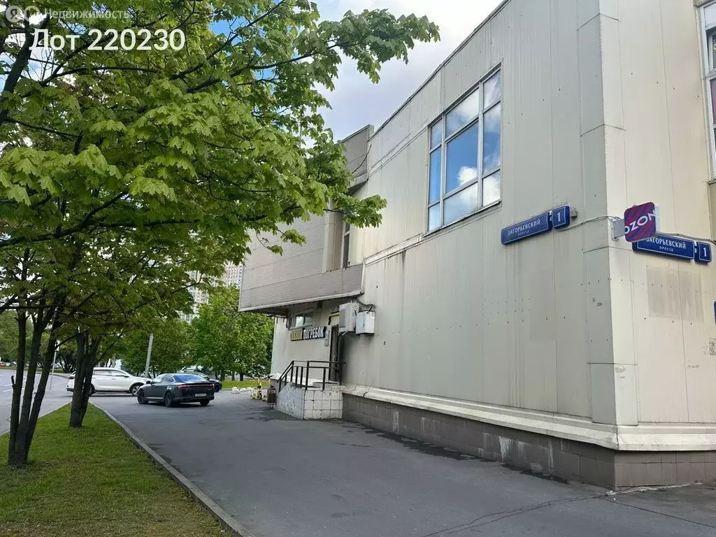 Помещение свободного назначения (210 м) - Фото 0