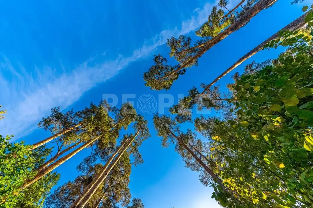 Участок в Московская область, Одинцовский городской округ, пос. ... - Фото 2