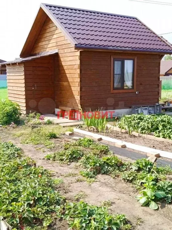 Участок 5 сот. (СНТ, ДНП) - Фото 1