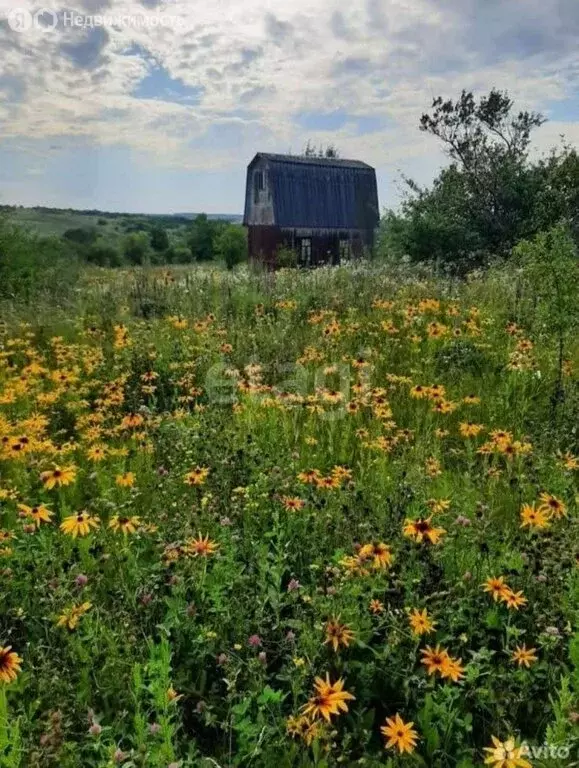 Участок в Белгородский район, Бессоновское сельское поселение, садовое ... - Фото 2