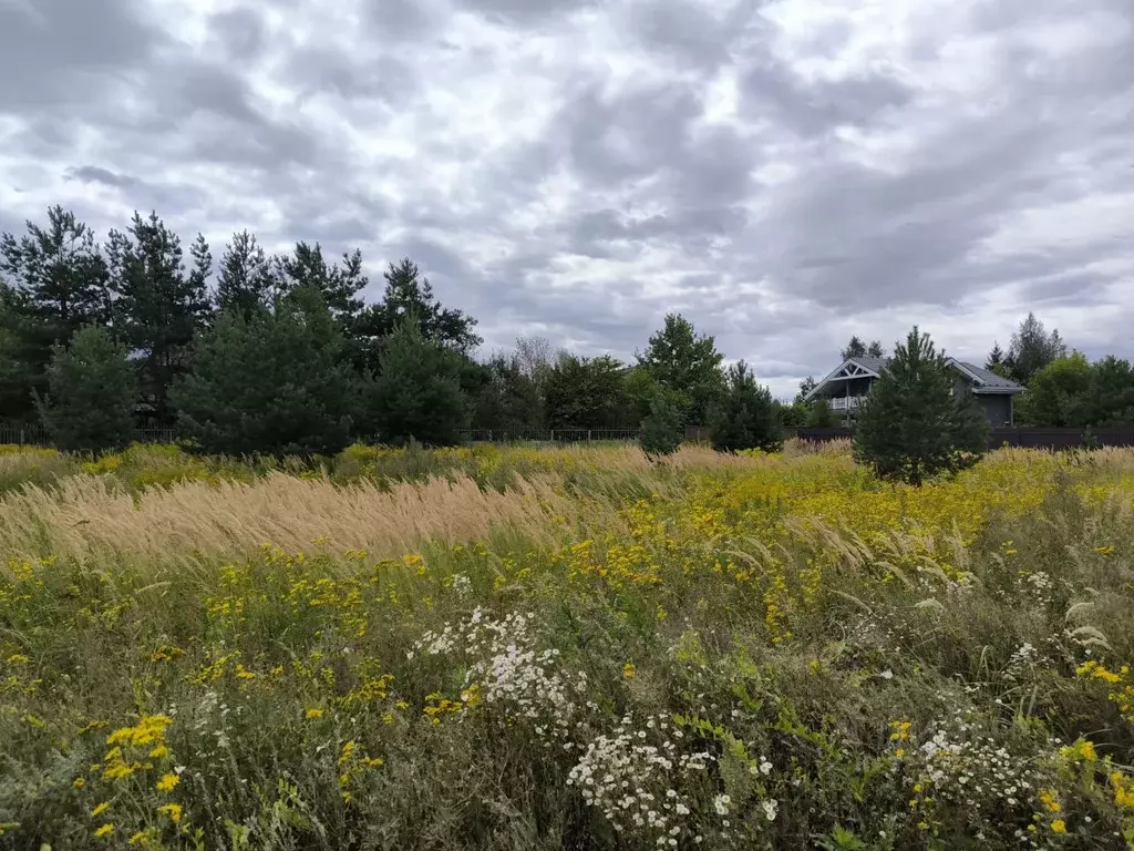 Участок в Московская область, Раменский муниципальный округ, с. ... - Фото 2