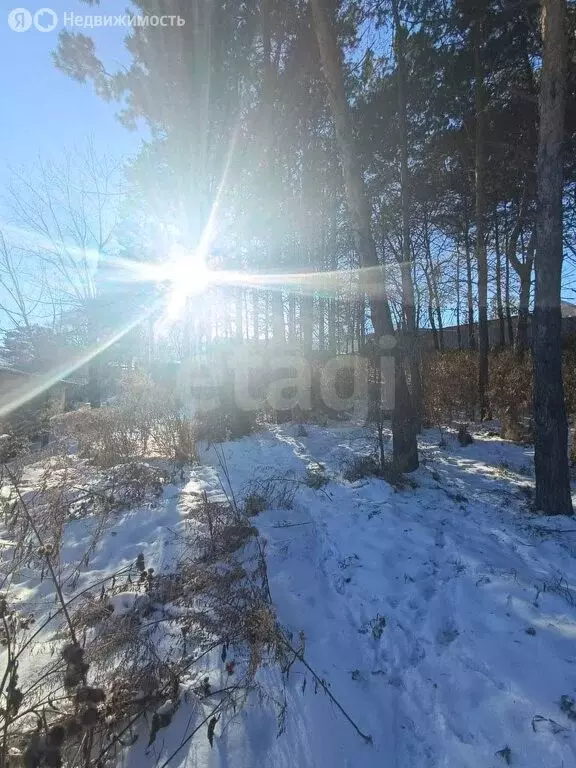 Участок в Благовещенск, Центральная улица (15 м) - Фото 2