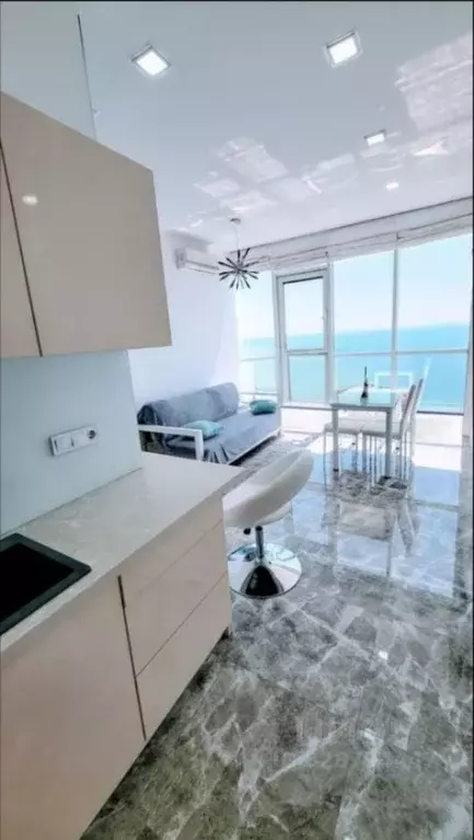 1-к кв. Краснодарский край, Сочи Виноградная ул., 101/1 (34.0 м) - Фото 1