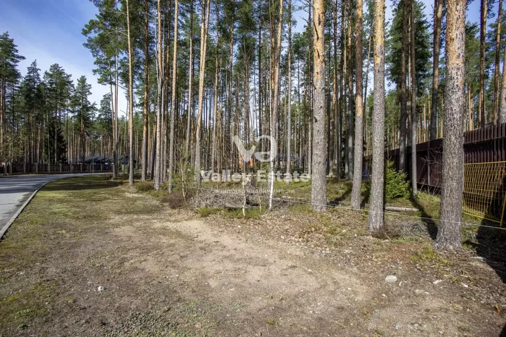 Участок в Ленинградская область, Выборгский район, Полянское с/пос, ... - Фото 2